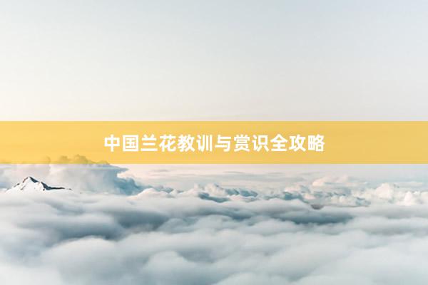 中国兰花教训与赏识全攻略